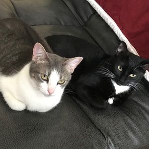 Meet your Posher, Lorena